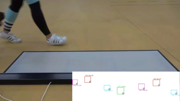 On-Demand Webinar to see analysis from a real-world canine gait study.